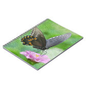 Carnet papillon (Côté gauche)