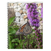 Carnet papillon (Devant)