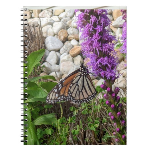 Carnet papillon (Devant)