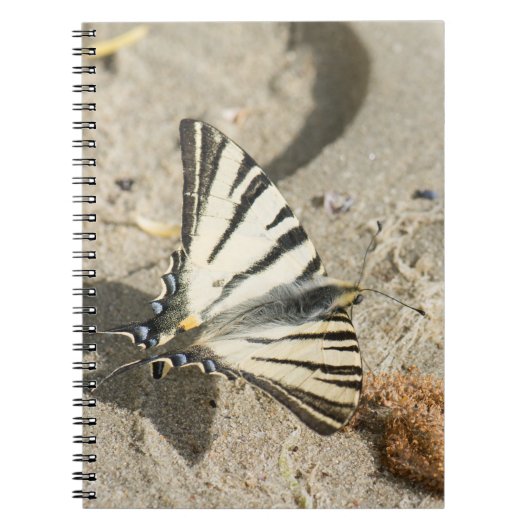 Carnet Papillon (Devant)