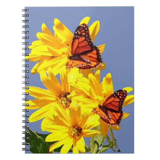 Carnet papillon (Devant)