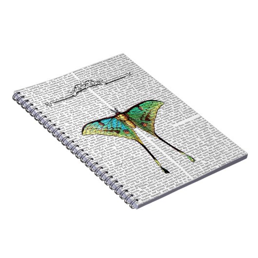 Carnet Papillon 2 (Côté Droit)