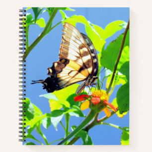 Carnet Papillon à queue de tigre - 8,5 x 11, 8,5 x 8,5,