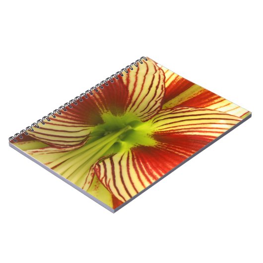 Carnet Papillon Amaryllis (Côté gauche)