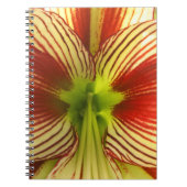 Carnet Papillon Amaryllis (Devant)