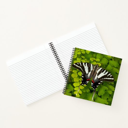 Carnet Papillon américain à queue d'hirondelle (Intérieur)