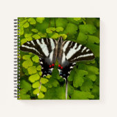 Carnet Papillon américain à queue d'hirondelle (Devant)