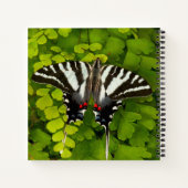 Carnet Papillon américain à queue d'hirondelle (Dos)