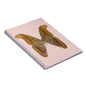 Carnet Papillon Atlas (Côté Droit)