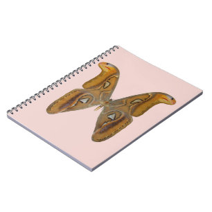 Carnet Papillon Atlas