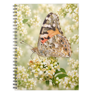 Carnet Papillon Belle Dame sur des fleurs blanches