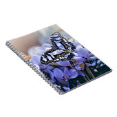 Carnet Papillon bleu (Côté Droit)