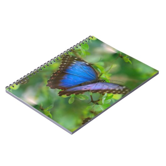 Carnet Papillon bleu (Côté gauche)