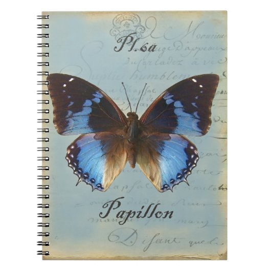 Carnet Papillon bleu (Devant)