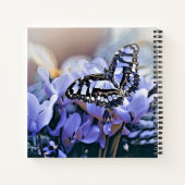 Carnet Papillon bleu (Dos)