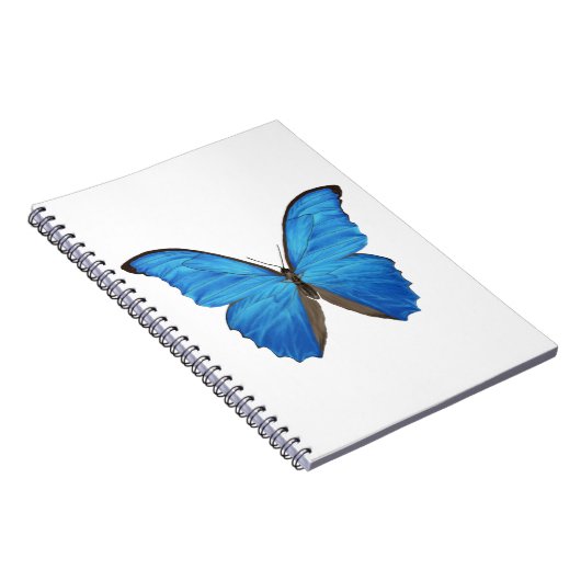 Carnet Papillon bleu de Morpho (Côté Droit)