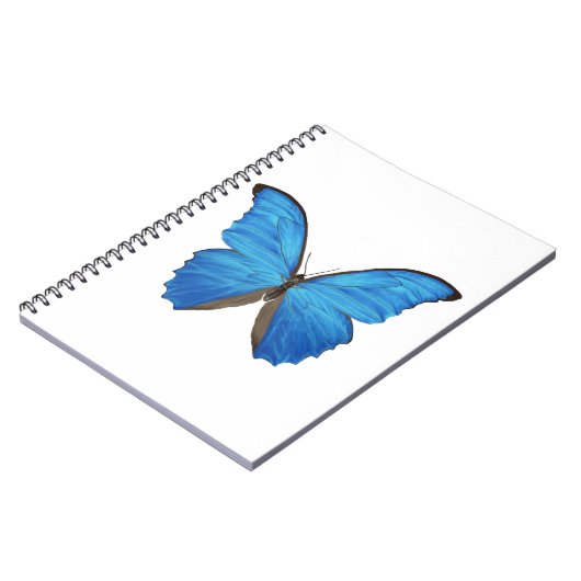 Carnet Papillon bleu de Morpho (Côté gauche)