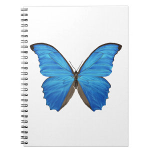 Carnet Papillon bleu de Morpho