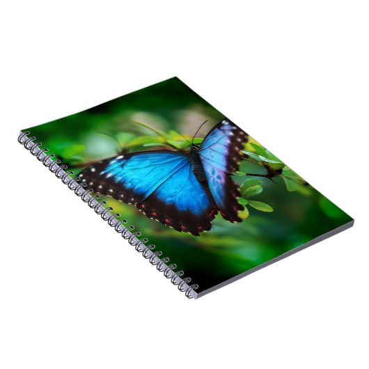 Carnet Papillon bleu de Morpho (Côté Droit)