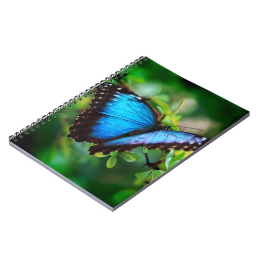 Carnet Papillon bleu de Morpho (Côté gauche)