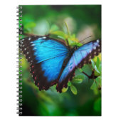 Carnet Papillon bleu de Morpho (Devant)