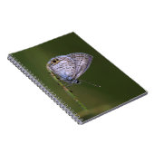 Carnet Papillon bleu marine (Côté Droit)
