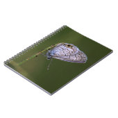 Carnet Papillon bleu marine (Côté gauche)