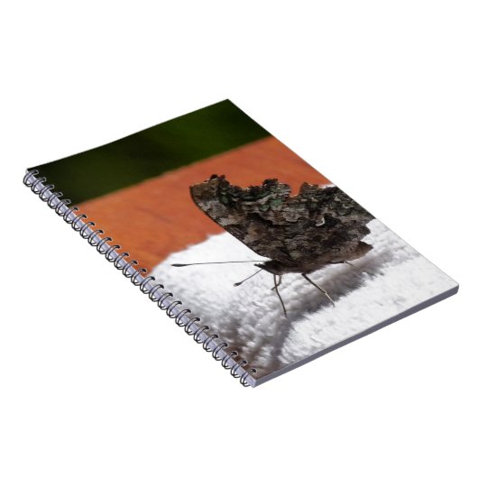 Carnet Papillon camouflage foncé (Côté Droit)