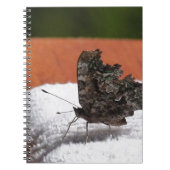 Carnet Papillon camouflage foncé (Devant)
