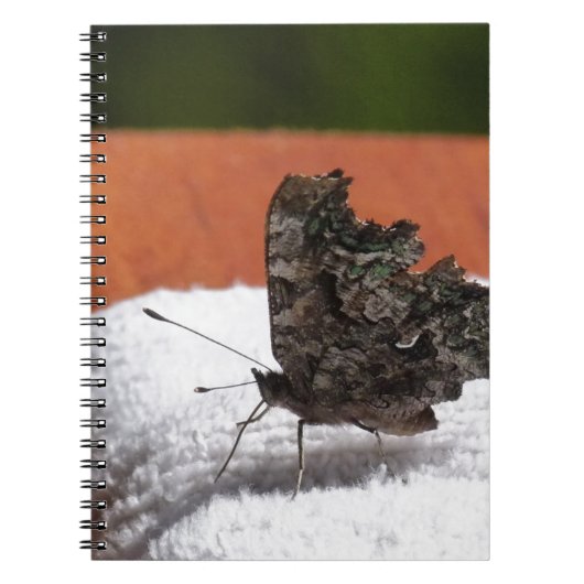 Carnet Papillon camouflage foncé (Devant)