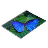 Carnet Papillon-carnet (Côté gauche)