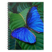 Carnet Papillon-carnet (Devant)