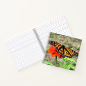 Carnet Papillon coloré (Intérieur)