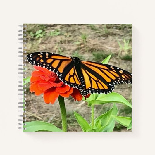 Carnet Papillon coloré (Devant)