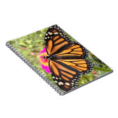 Carnet Papillon coloré (Côté Droit)