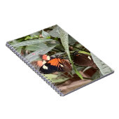Carnet Papillon coloré (Côté Droit)