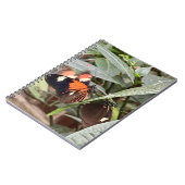 Carnet Papillon coloré (Côté gauche)