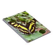Carnet Papillon coloré (Côté Droit)