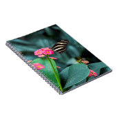 Carnet papillon coloré dans le jardin (Côté Droit)