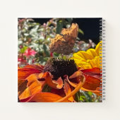 Carnet Papillon Comma sur une fleur Rudbeckia modifiable (Dos)