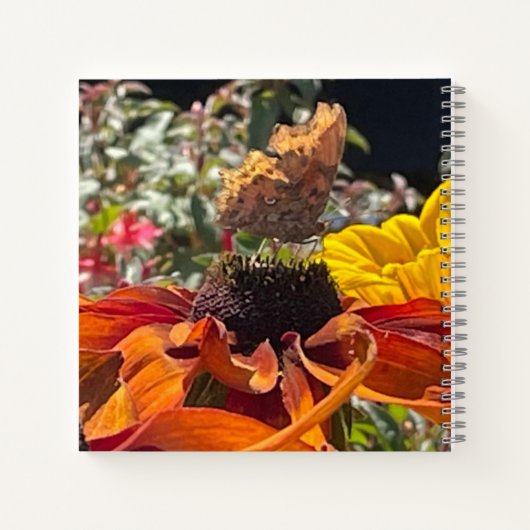 Carnet Papillon Comma sur une fleur Rudbeckia modifiable (Dos)