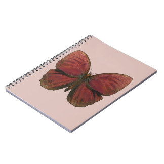 Carnet Papillon Coq Rouge
