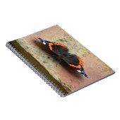 Carnet papillon de l'amiral rouge (Côté Droit)