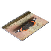 Carnet papillon de l'amiral rouge (Côté gauche)
