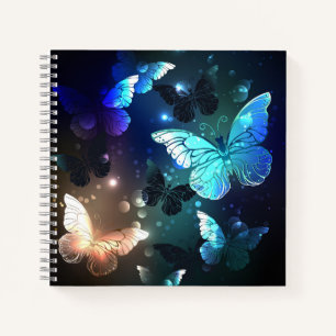 Carnet Papillon de nuit