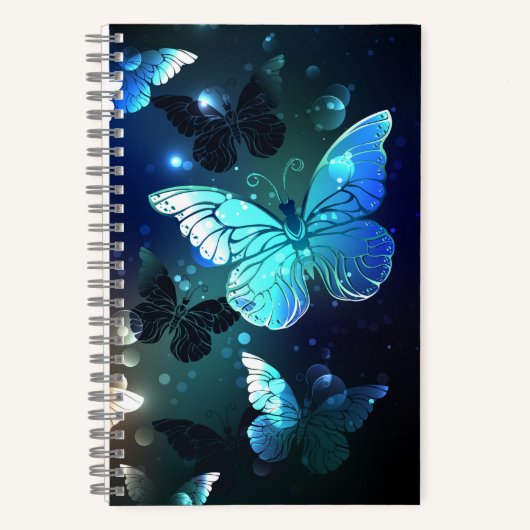 Carnet Papillon de nuit (Recto)