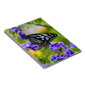 Carnet papillon de tigre bleu (Côté Droit)