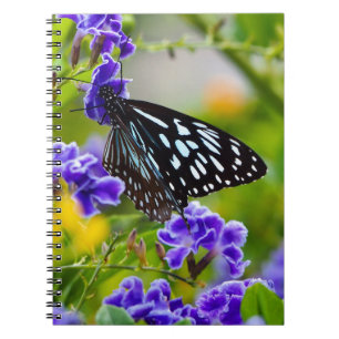 Carnet papillon de tigre bleu