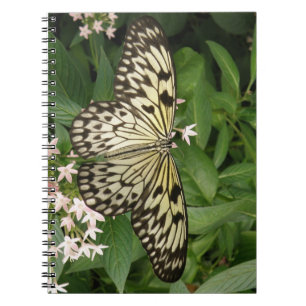 Carnet papillon en papier
