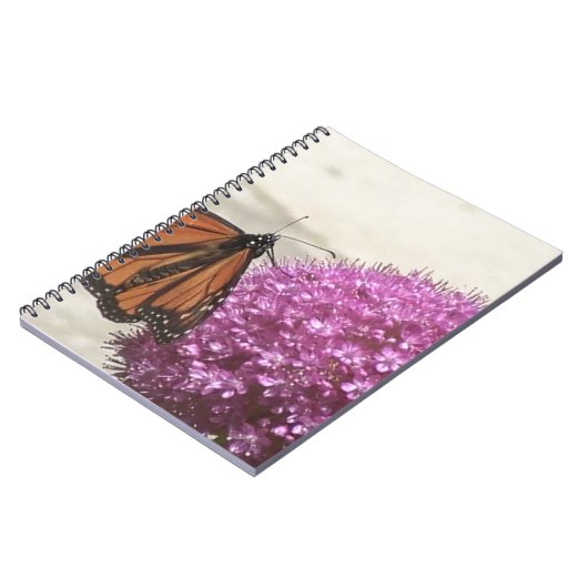 Carnet Papillon et oignon géant (Côté gauche)